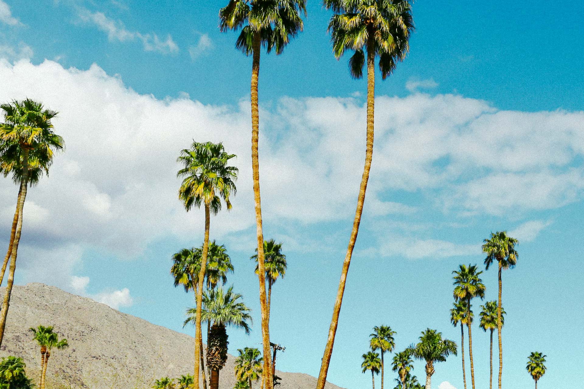 palm-trees-and-sky-of-palm-springs